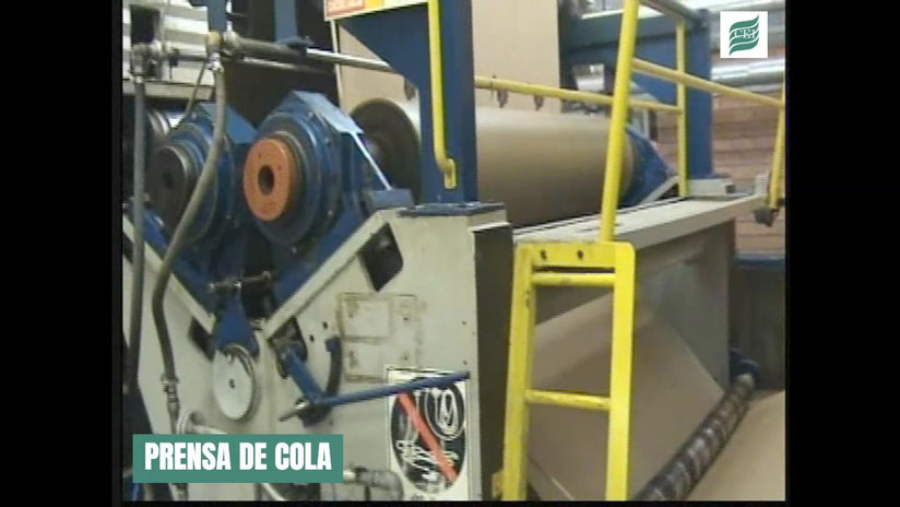 Fábrica de papel e celulose/PR, de 2001 a 2006